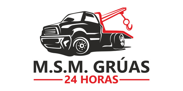 msm gruas